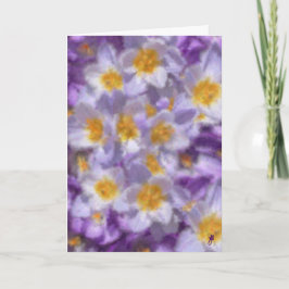 Invitación Crocus Watercolor