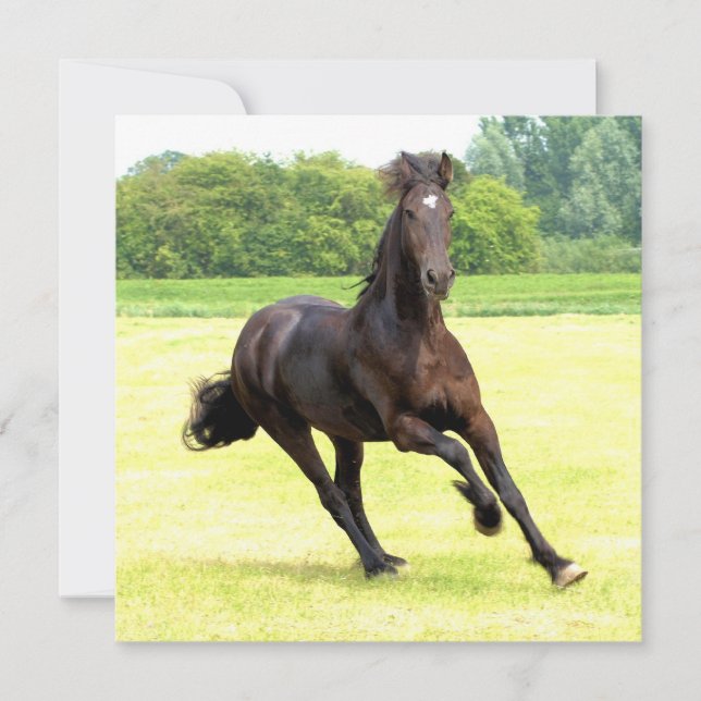 Invitación cuadrada - Personalizada (Anverso)