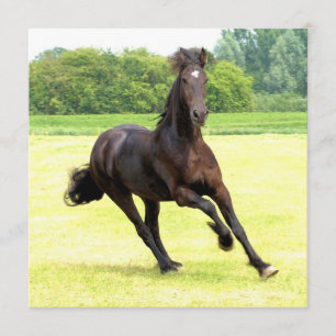 Invitación cuadrada - Personalizada