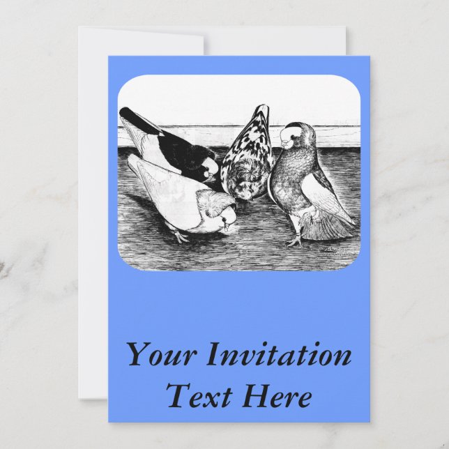 Invitación Cuarteto de pichón de Komorner Tumbler (Anverso)