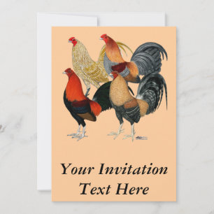 Invitación Cuatro gallos de pelea