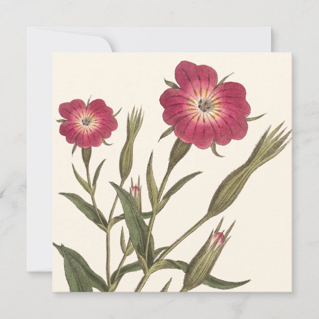 Invitación Cumpleaños Botánico Vintage para Lady Gardener (Anverso)