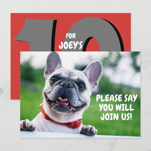 Invitación Cumpleaños de adorable perro bulldog francés (cual (Anverso / Reverso)