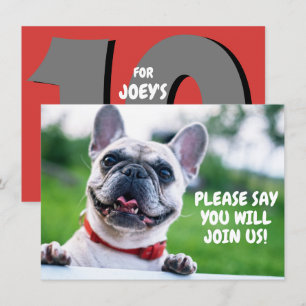 Invitación Cumpleaños de adorable perro bulldog francés (cual