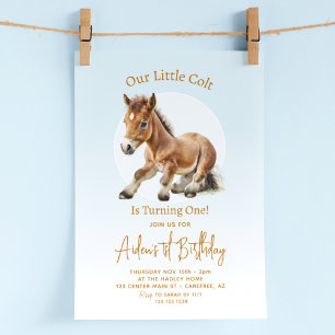 Invitación Cumpleaños de Caballo para Niños 1er