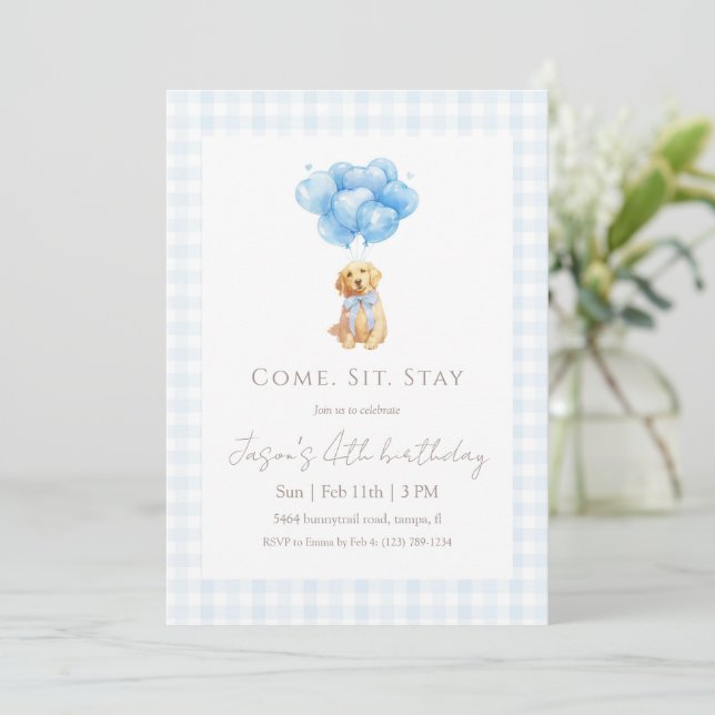 Invitación Cumpleaños de cachorro Retriever con gingham azul (Anverso de pie)