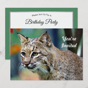 Invitación Cumpleaños de foto de gato montés silvestre