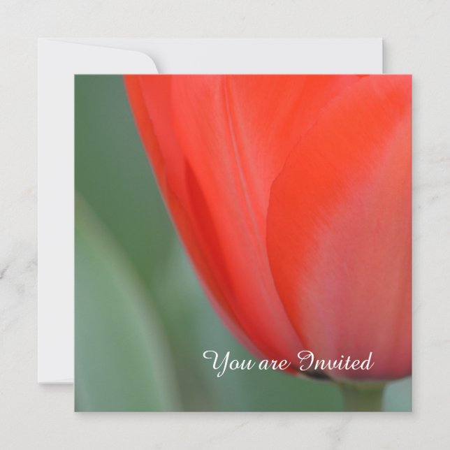 Invitación Cumpleaños de la Flor de Tulipán Rojo (Anverso)