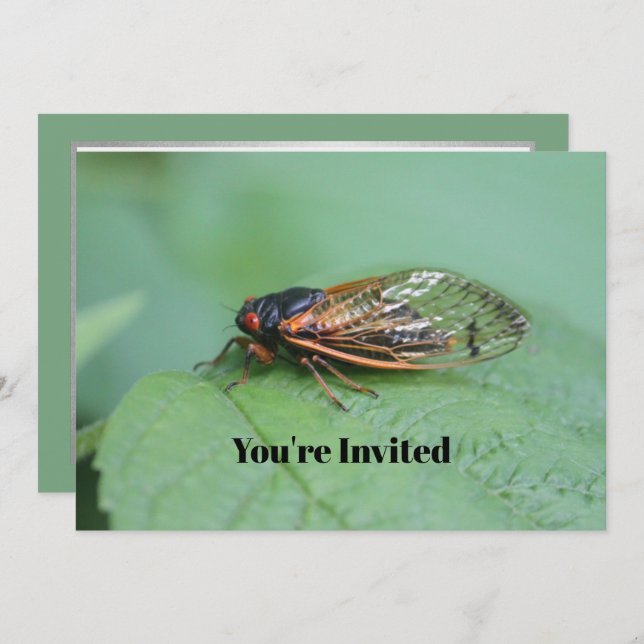 Invitación Cumpleaños de la Foto Cicada (Anverso / Reverso)