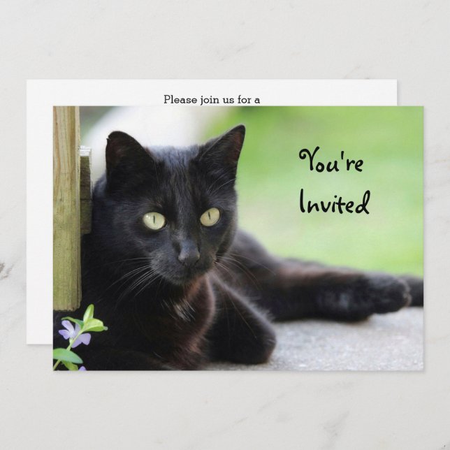 Invitación Cumpleaños de la foto del gato negro de bonito (Anverso / Reverso)