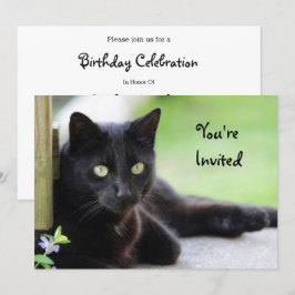 Invitación Cumpleaños de la foto del gato negro de bonito