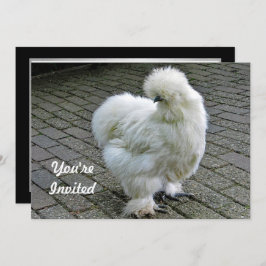Invitación Cumpleaños de la foto del Silkie Blanco Pollo