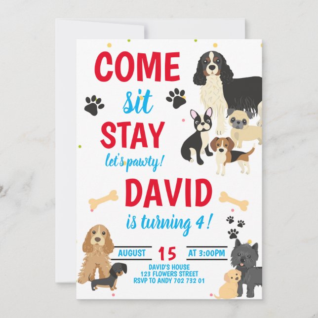 Invitación Cumpleaños de los chicos de parto (Anverso)