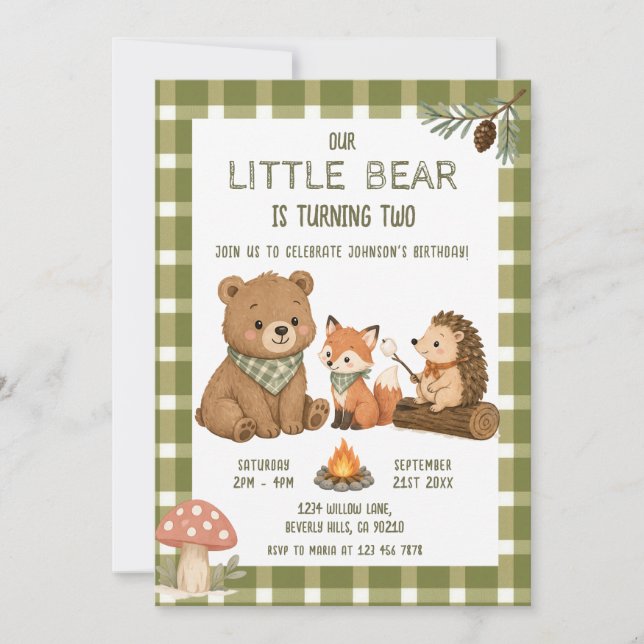 Invitación Cumpleaños de osito animales gingham verde (Anverso)