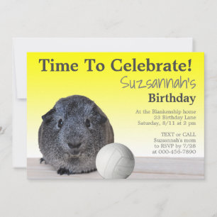 Invitación Cumpleaños de partido de voleibol de Conejillo de 