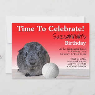 Invitación Cumpleaños de partido de voleibol de Conejillo de 