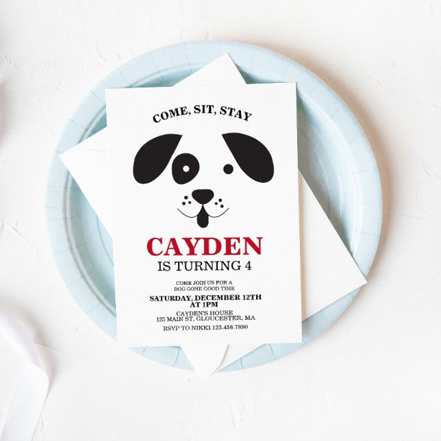 Invitación Cumpleaños de perro negro y blanco con manchas (Subido por el creador)