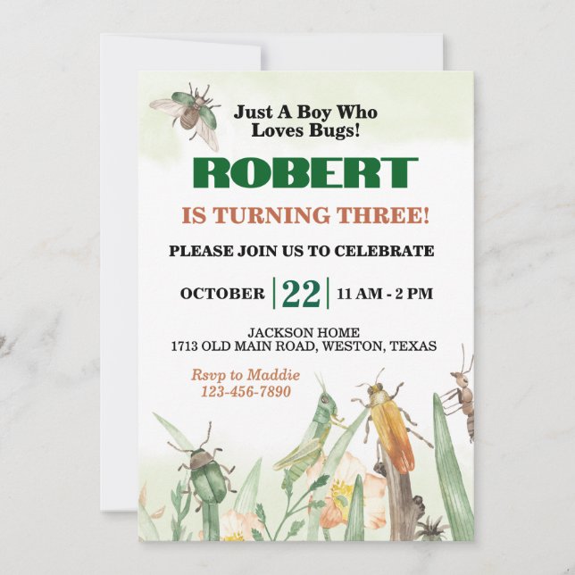Invitación Cumpleaños de solo un niño que ama los insectos (Anverso)