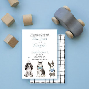 Invitación Cumpleaños número 2 del niño con perro azul blanco