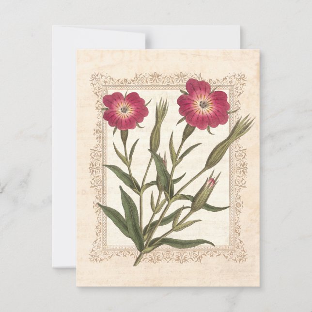 Invitación Cumpleaños número 50 de la elegante dama de jardin (Anverso)