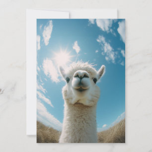 Invitación Curiosa Alpaca bajo el sol