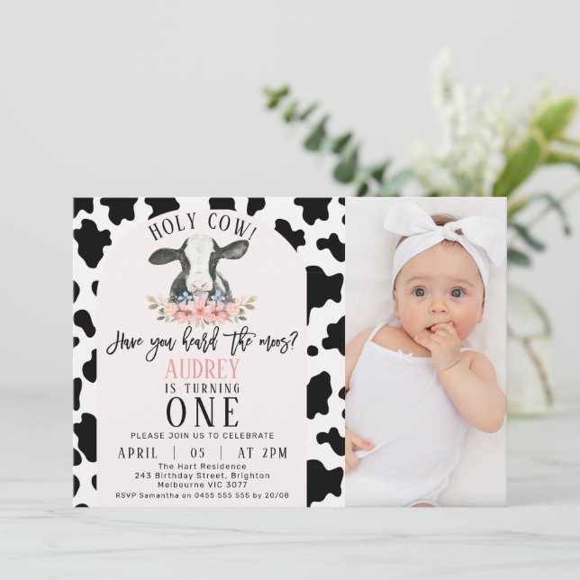 Invitación Curte Black Cow Print Photo Holy Cow Primer cumple (Anverso de pie)