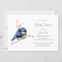 Cute Baby Blue Jay Baby Shower
