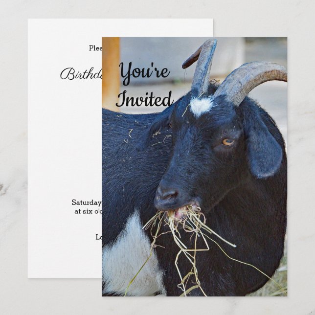 Invitación Cute Black Goat Photo Birday (Anverso / Reverso)