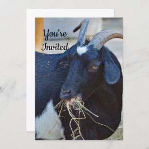 Invitación Cute Black Goat Photo Birday