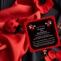 Cute Black/Red Ladybug Fairy Birday Party