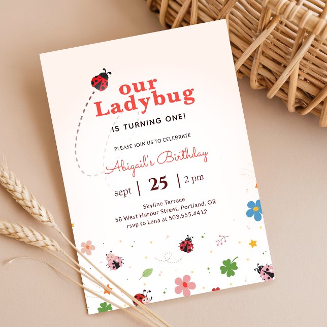 Invitación Cute Bug Ladybug Baby Girl 1st Birthday Party (Subido por el creador)