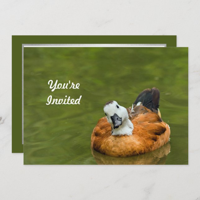 Invitación Cute colorida foto de pato cumpleaños (Anverso / Reverso)