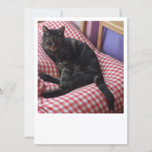 Invitación Cute Dave