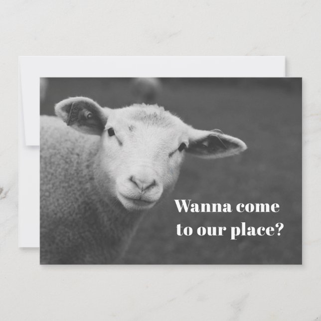 Invitación Cute de Pésaj (Anverso)