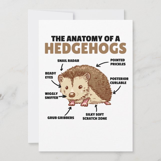 Invitación Cute Hedgehog Explicación Anatomía De Un Hedgeogs (Anverso)