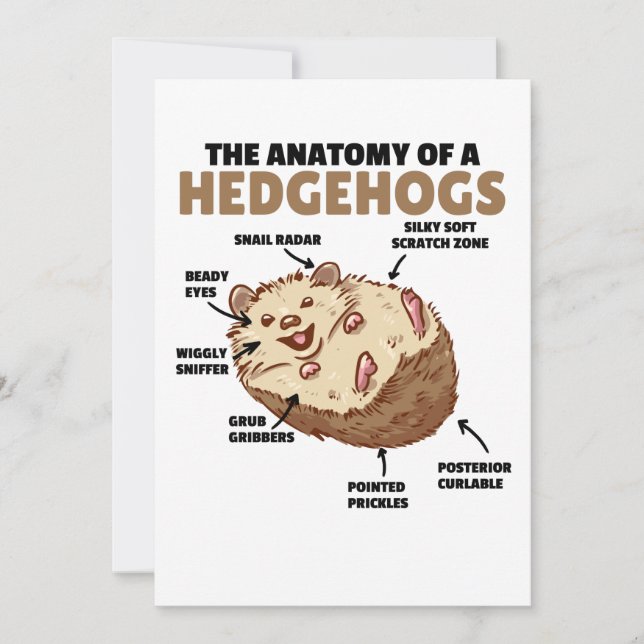 Invitación Cute Hedgehog Explicación Anatomía De Un Hedgeogs (Anverso)
