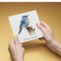 Cute Little Mountain Bluebird Watercolor, personal