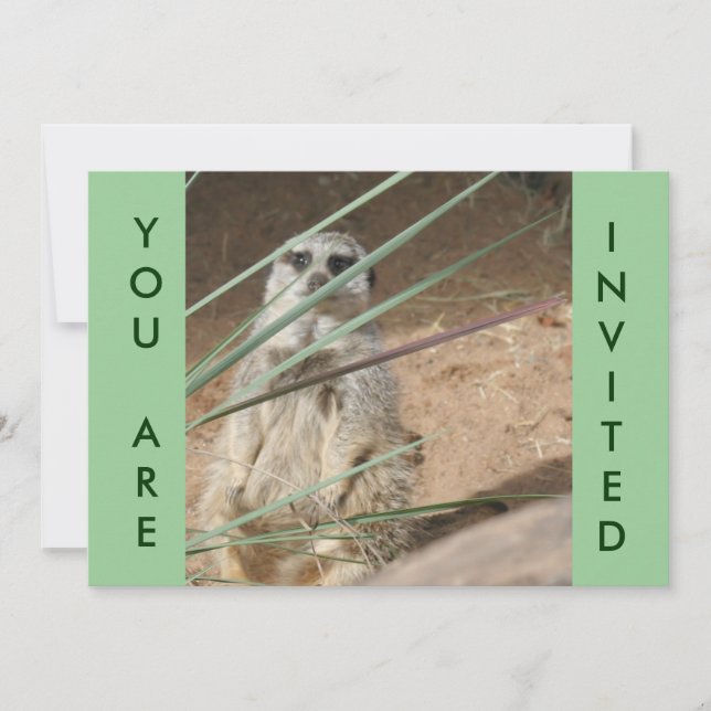 Invitación Cute Meerkat (Anverso)