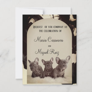 Invitación cute pitbull elegant party