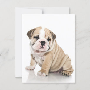 Invitación Cute Puppy Bulldog Sad