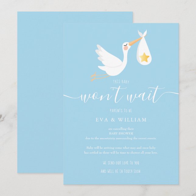 Invitación Cute Stork Baby Shower Sprinkle Blue Update Card (Anverso / Reverso)