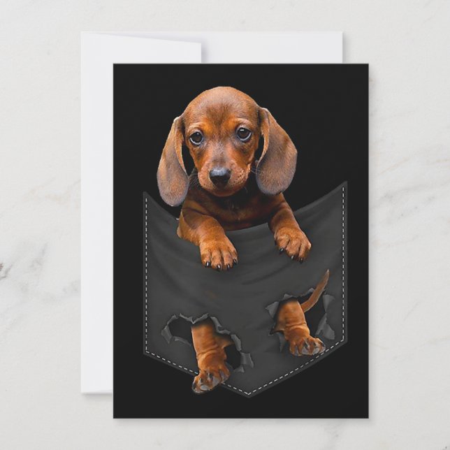 Invitación Dachshund En Mi Bolsillo Dachshund Perro Salchicha (Anverso)