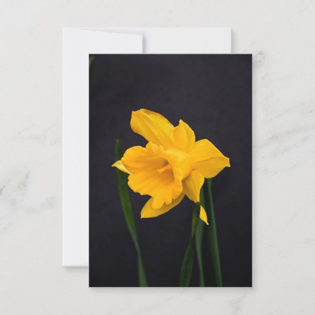 Invitación Daffodil amarillo (Anverso)