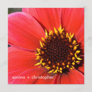 Invitación Dahlia roja