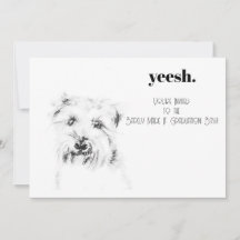 Dash el perro