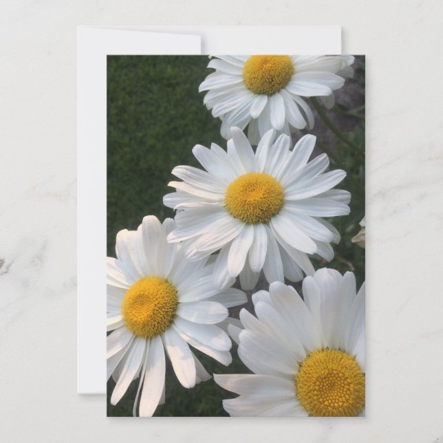 Invitación Dásidos blancos (Anverso)