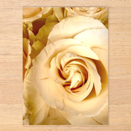 Invitación de acrílico macro de rosa de champán el