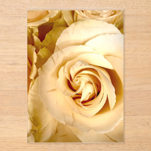 Invitación de acrílico macro de rosa de champán el