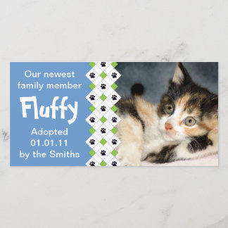 Invitación de adopción de gatos/gatitos