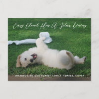 Invitación de adopción de Mascota de fotografía Si